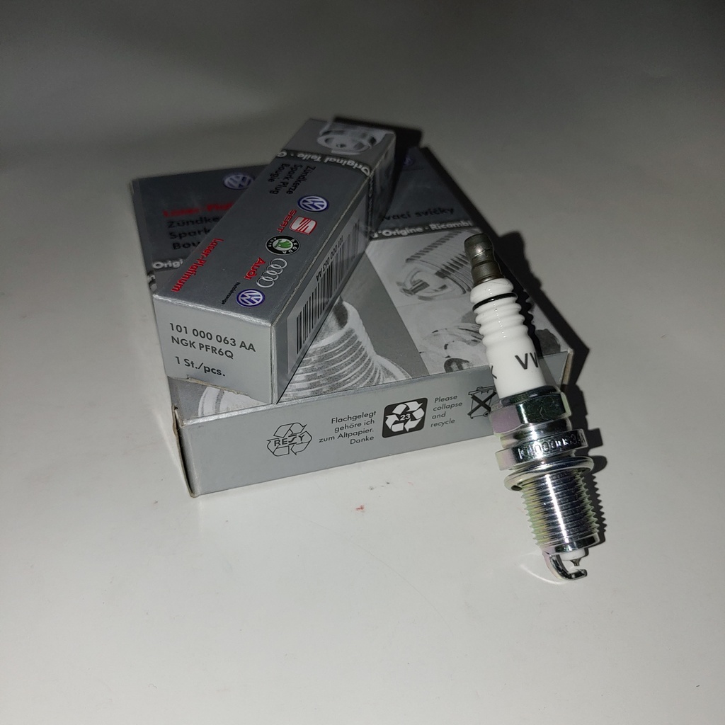 VW, Spark Plug NGK, 101000063AA